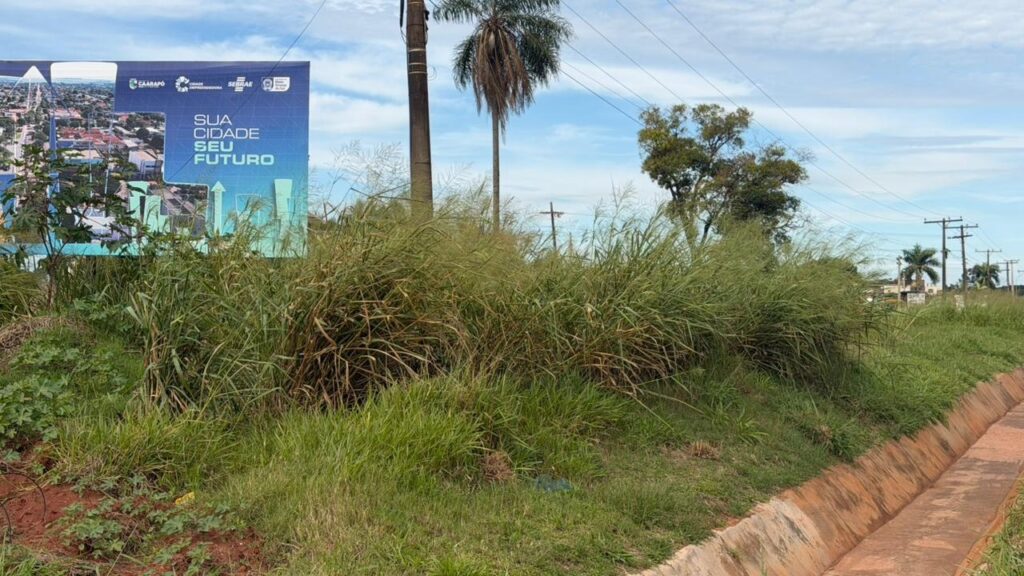 Nado Tozzi fiscaliza entrada de Caarapó e cobra limpeza na entrada do Polo Industrial