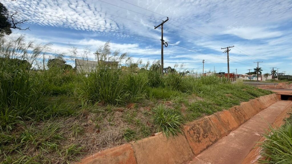 Nado Tozzi fiscaliza entrada de Caarapó e cobra limpeza na entrada do Polo Industrial